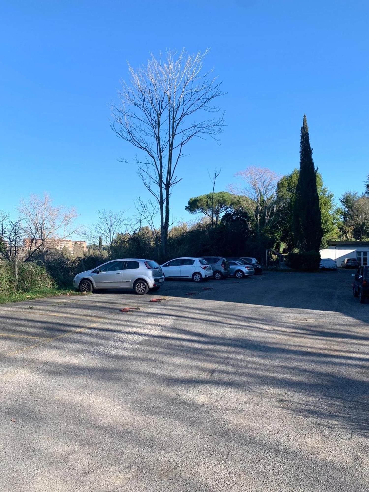 Aurelia House Garden Διαμέρισμα Ρώμη Εξωτερικό φωτογραφία